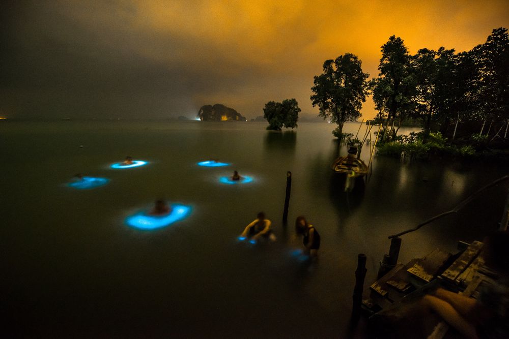 Swimming With Bioluminescent Plankton in Cartagena